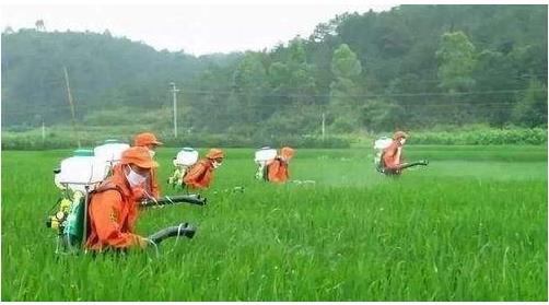 農(nóng)藥行業(yè)仍然具有較大的發(fā)展空間，高效、低毒、低殘留將是其發(fā)展方向