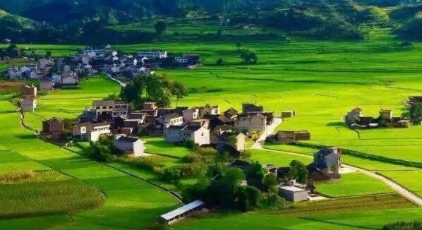 去年全國鄉(xiāng)村旅游總?cè)舜螢?0.9億人次，同比增加9.7%