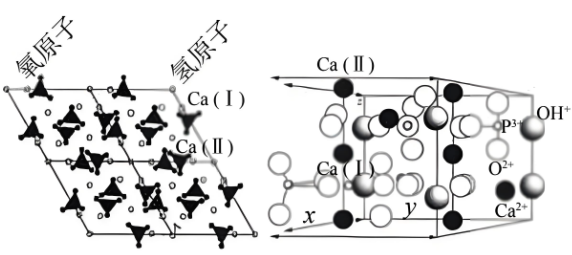 羥基磷灰石（HAP）在醫(yī)美行業(yè)和工業(yè)應(yīng)用方面表現(xiàn)出強勁的增長勢頭