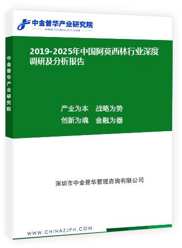 2019-2025年中國(guó)阿莫西林行業(yè)深度調(diào)研及分析報(bào)告